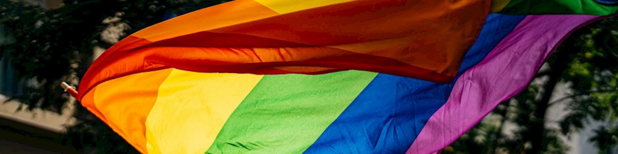 A colorful rainbow flag being waved by people in a crowd, suggesting a celebration or protest. The background reveals a street scene with trees.