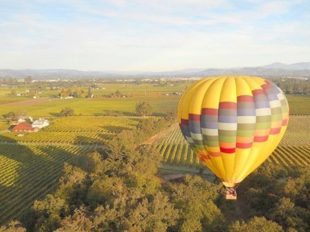 A colorful hot air balloon is flying over a scenic landscape of vineyards and fields with a clear sky and distant mountains visible.