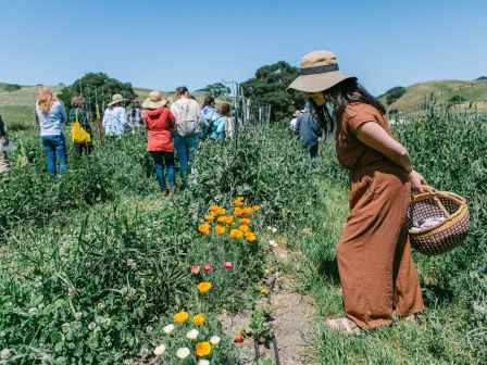 People are in a garden, with one person bending to look at flowers and others standing in the background, all under a clear blue sky.