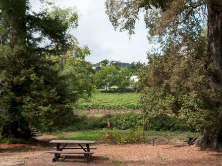 A serene outdoor setting with a wooden picnic table under shade trees, overlooking a green field and distant trees in the background.