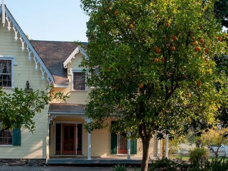 A yellow house with white trim, ornamental gables, green shutters, and a fruit tree bearing orange-colored fruit in the front yard.