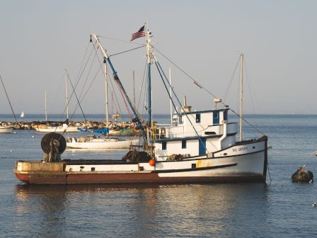 A small, white fishing boat with an American flag is anchored in calm waters, with other boats and a hazy horizon in the background.