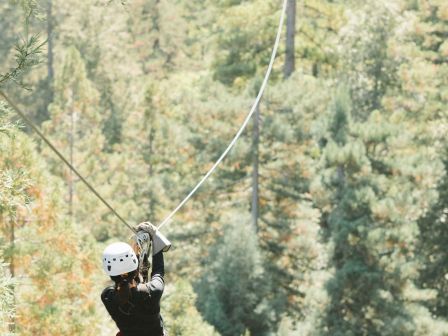 A person wearing a helmet and safety gear is zip-lining through a lush forest with tall trees in the background.