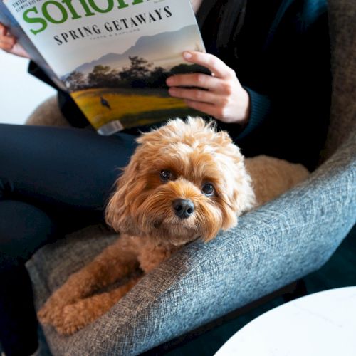 A person on a comfortable chair reads 