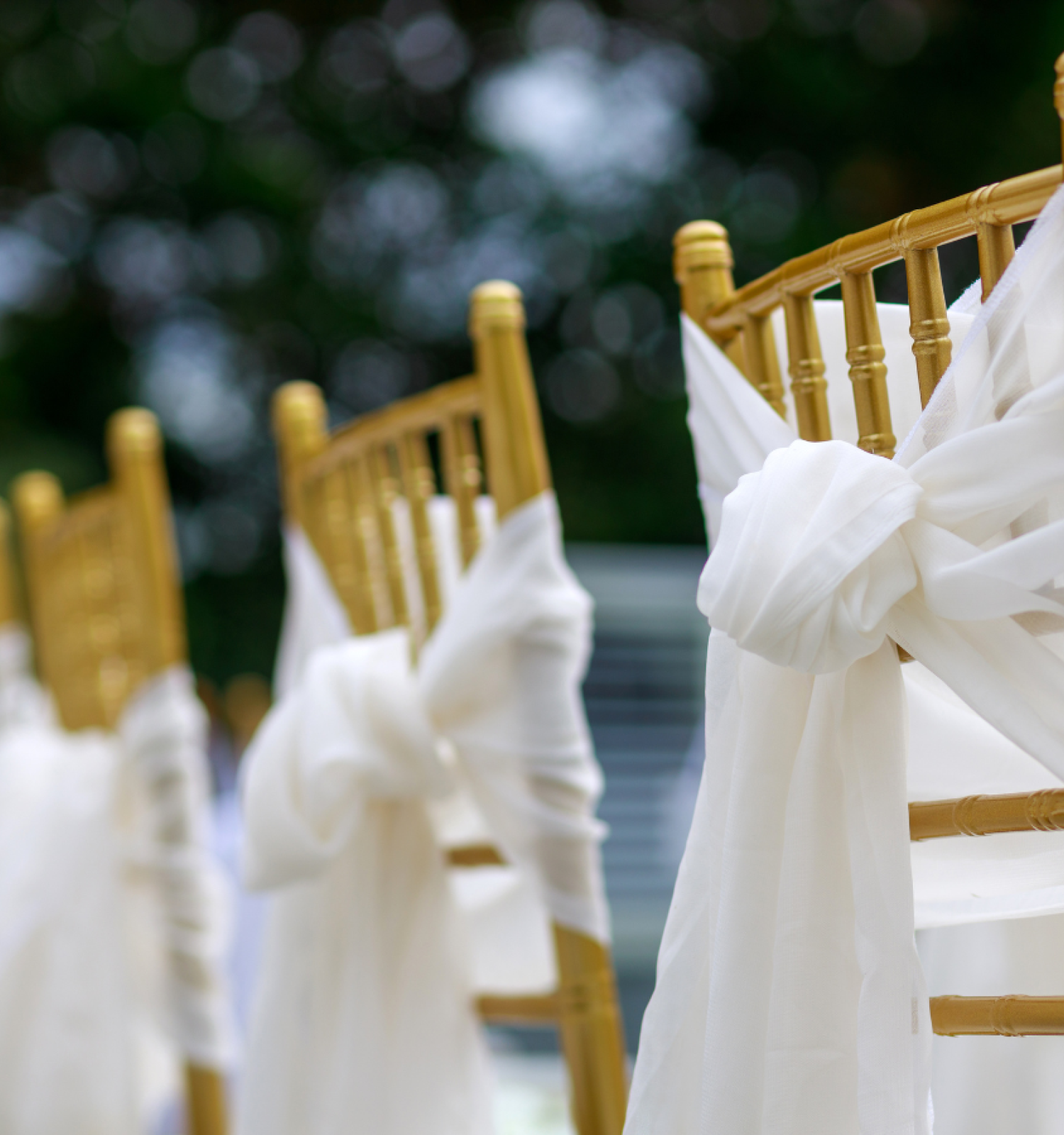 Decorative chairs with white fabric bows tied on their backs, likely set up for an outdoor event or wedding, against a blurred natural background.