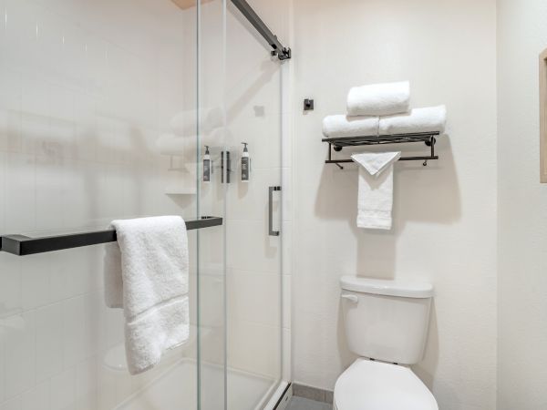 A bathroom with a glass shower, toilet, towel rack with folded towels, and framed wall art on a white wall.