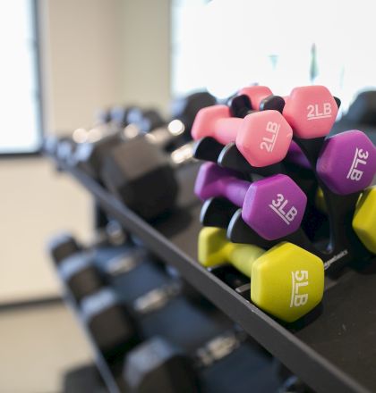 A rack of colorful dumbbells ranging from 2 to 5 pounds, with yellow, purple, pink, and green weights, stacked neatly in a gym with blurred background.