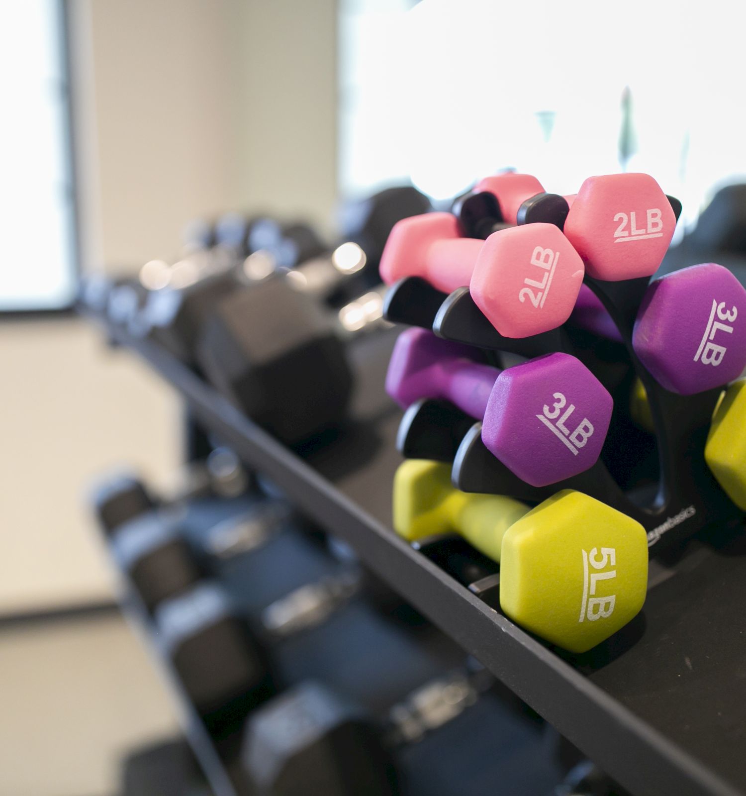 The image shows a rack in a gym holding various colored dumbbells, ranging from 2-pound to 5-pound weights, placed on a black shelf near windows.